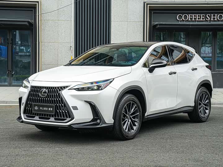 2025 Lexus NX