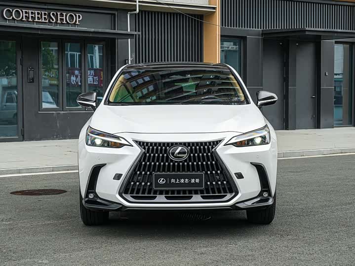 2025 Lexus NX