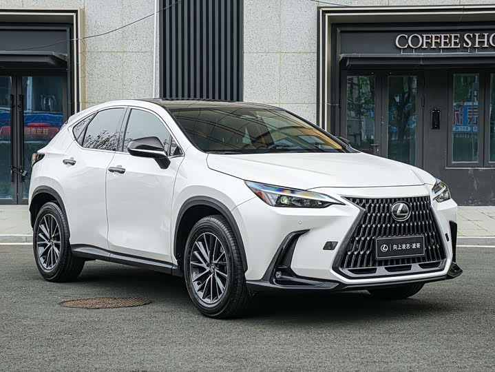 2025 Lexus NX