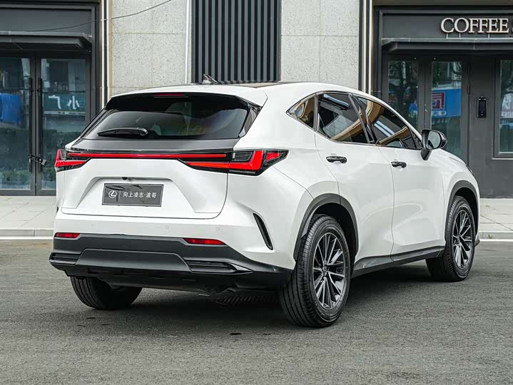 2025 Lexus NX
