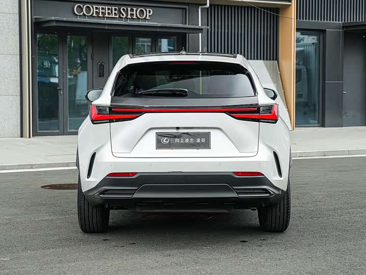2025 Lexus NX