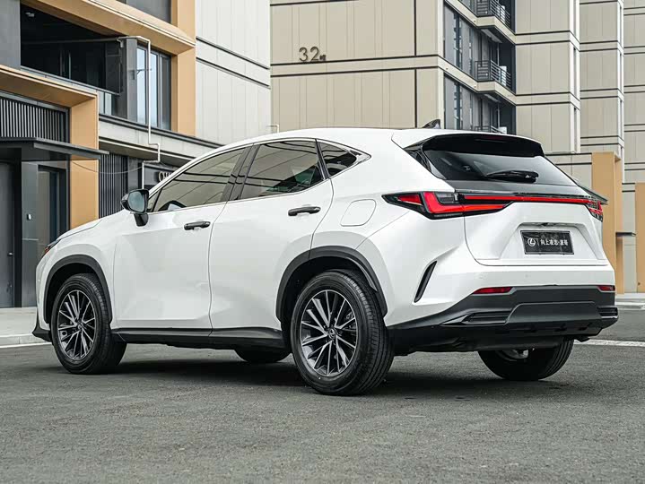 Lexus NX 2025 2025款 260 前驱 特别版