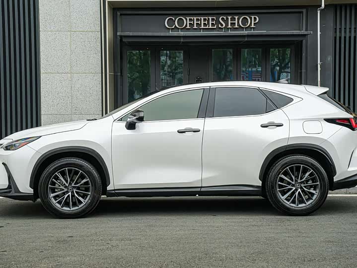 Lexus NX 2025 2025款 260 前驱 特别版