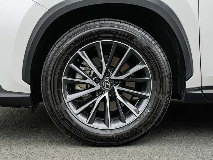 Lexus NX 2025 2025款 260 前驱 特别版