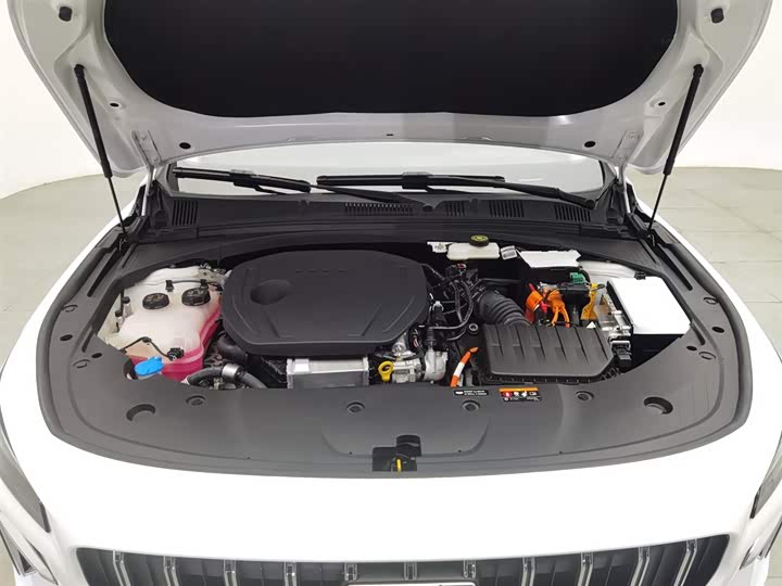 Geely Preface L 2024 2024款 油混 1.5TD 星河版