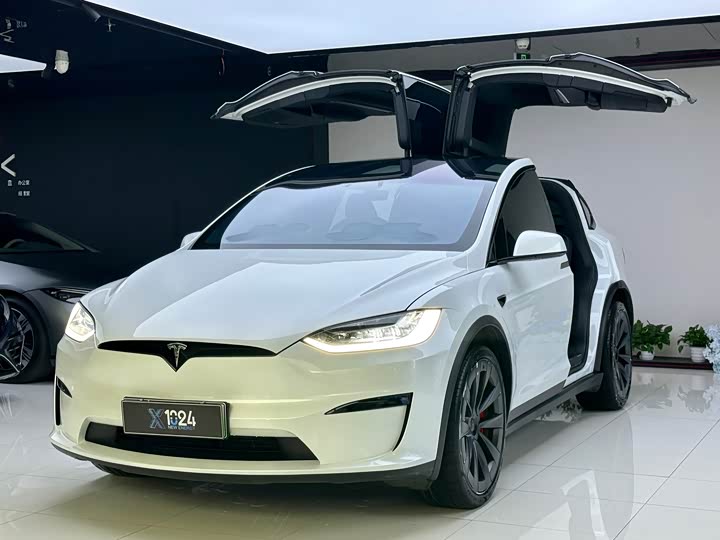 Фото 1 - Tesla Model X