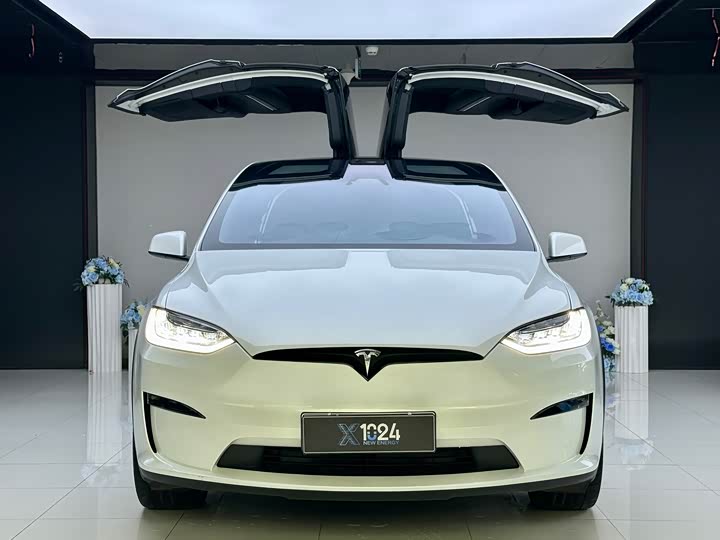 Фото 2 - Tesla Model X