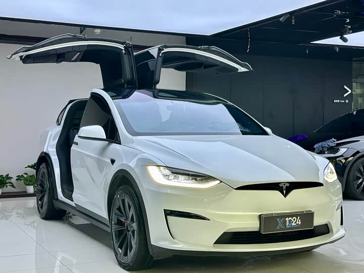 Фото 3 - Tesla Model X