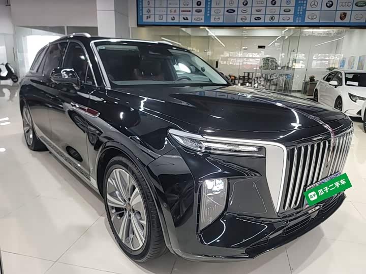 صورة 4 - Hongqi E-HS9