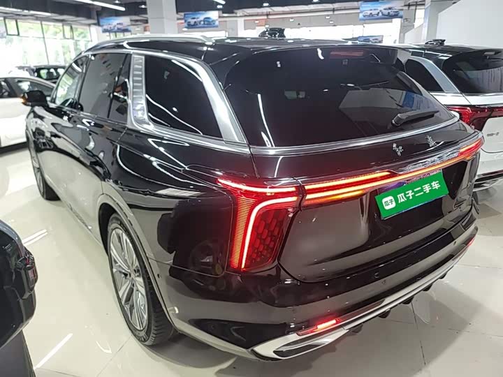 صورة 5 - Hongqi E-HS9