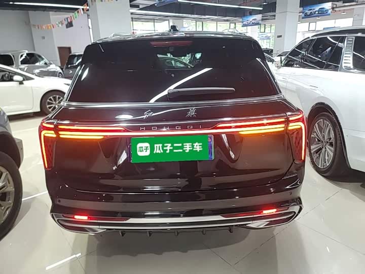 صورة 6 - Hongqi E-HS9