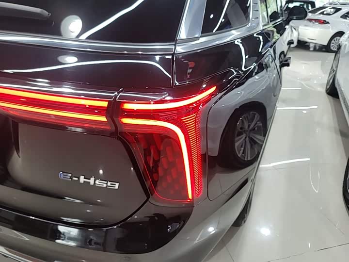 صورة 8 - Hongqi E-HS9