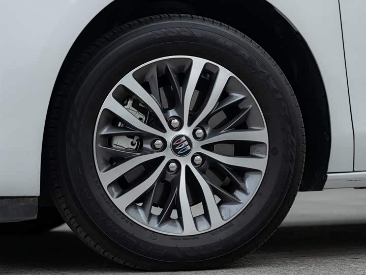 Фото 8 - Buick GL8 ES