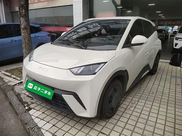 BYD Seagull 2025 2025款 305km 活力版