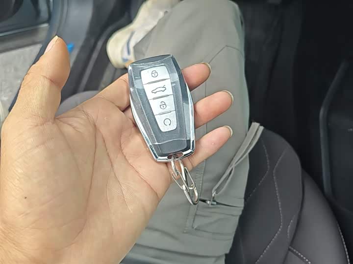 Geely Monjaro 2026 2026款 东方曜 2.0TD 自动望月版