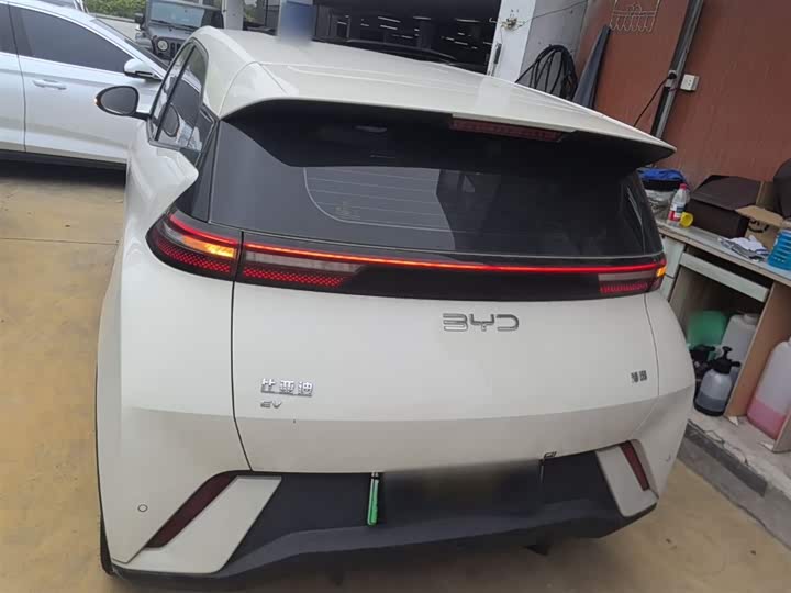 Zdjęcie 6 - BYD Seagull