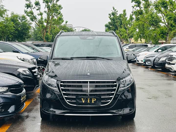 Mercedes-Benz V-Class 2024 2024款 V 300 L 长轴距豪华版