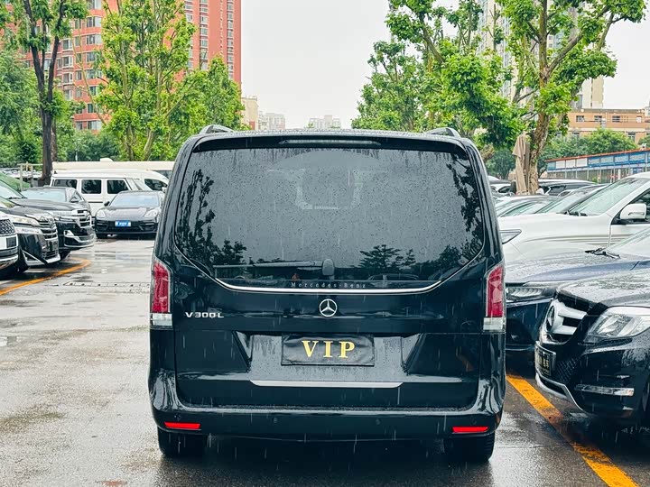 Mercedes-Benz V-Class 2024 2024款 V 300 L 长轴距豪华版