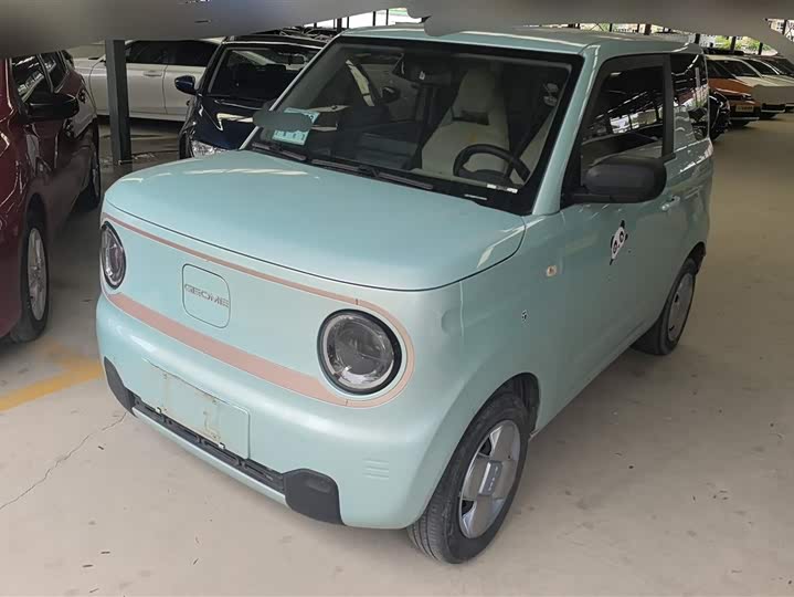Geely Galaxy Panda Mini 2023 2023款 熊猫mini 200km 耐力熊