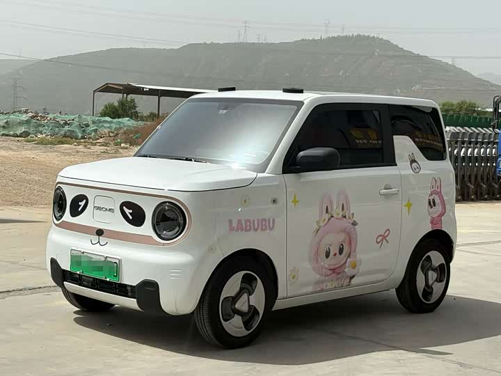 Zdjęcie 1 - Geely Galaxy Panda Mini