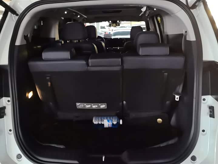 Фото 4 - GAC Trumpchi M8