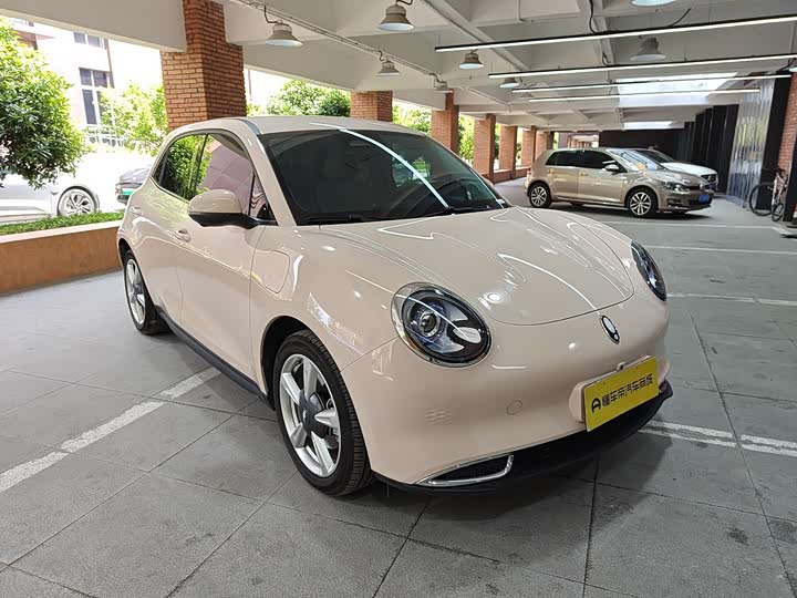 Ora Good Cat (03) 2023 2023款 401km标准续航 豪华型 磷酸铁锂