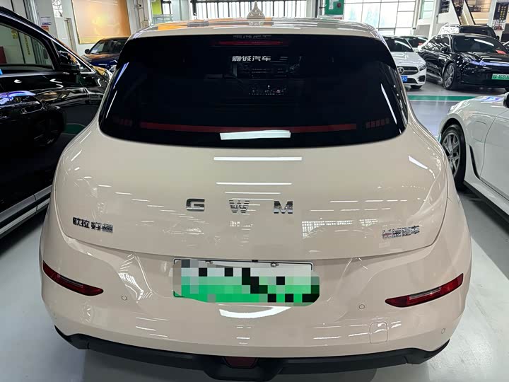 Ora Good Cat (03) 2025 2025款 430km 尊荣型