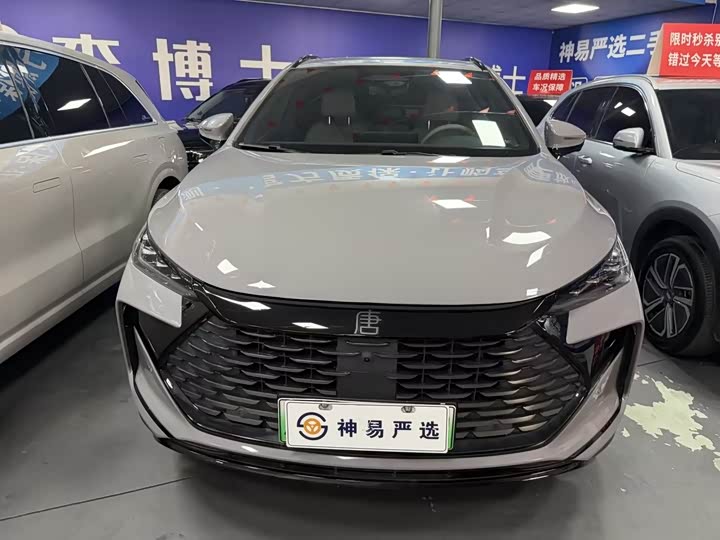 2025 BYD Tang Hybrid/EV