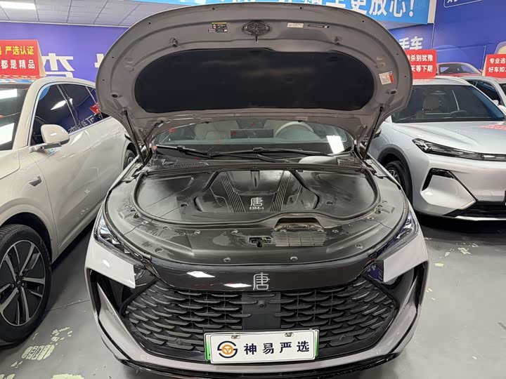 Фото 8 - BYD Tang Hybrid/EV