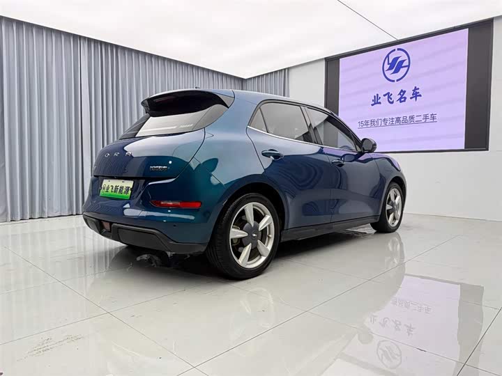 Ora Good Cat (03) 2023 2023款 401km标准续航 豪华型 磷酸铁锂