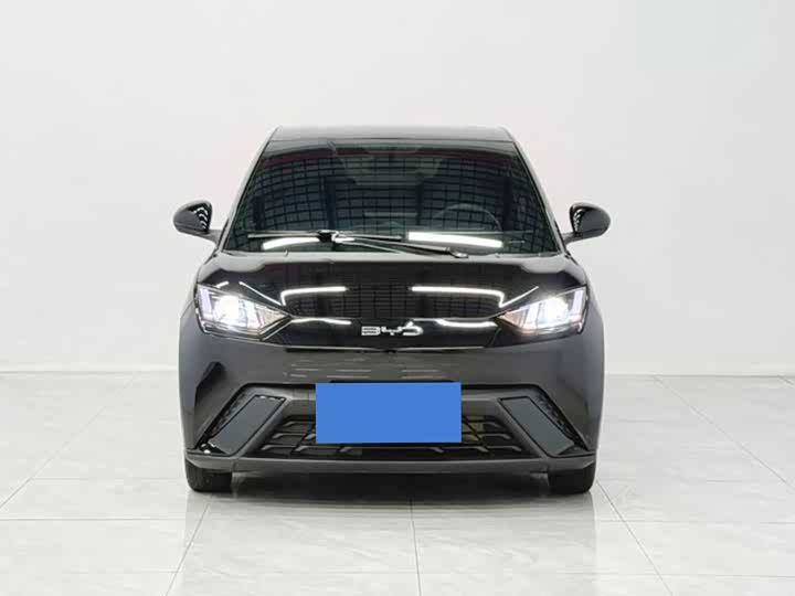 BYD Seagull 2025 2025款 305km 活力版