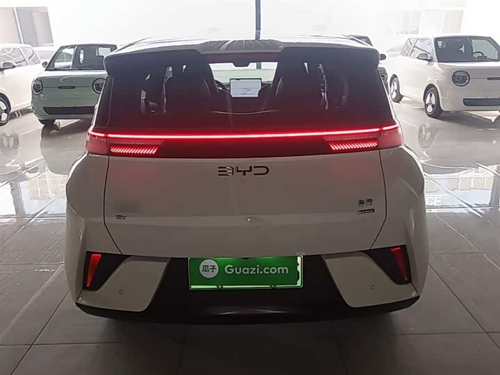 Photo 6 - BYD Seagull
