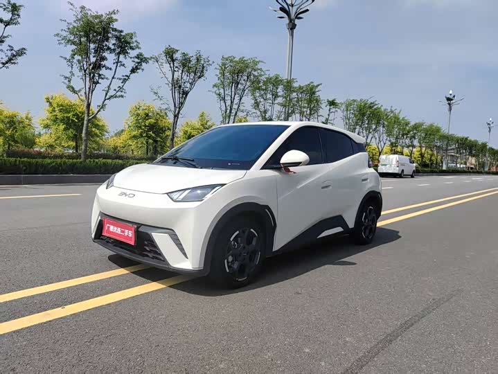 BYD Seagull 2025 2025款 305km 自由版