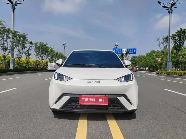 BYD Seagull 2025 2025款 305km 自由版
