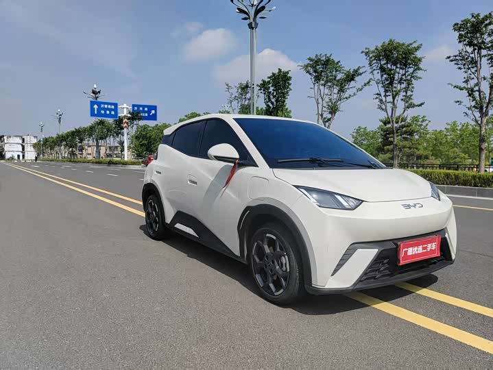 BYD Seagull 2025 2025款 305km 自由版