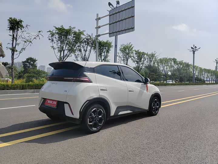 BYD Seagull 2025 2025款 305km 自由版