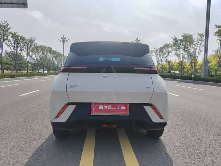 BYD Seagull 2025 2025款 305km 自由版