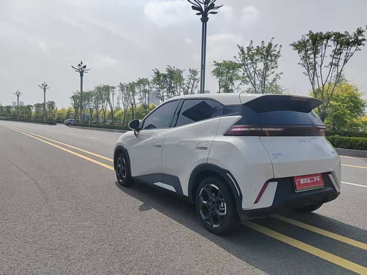 BYD Seagull 2025 2025款 305km 自由版