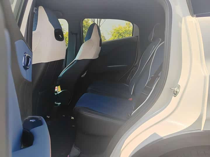 BYD Seagull 2025 2025款 305km 自由版
