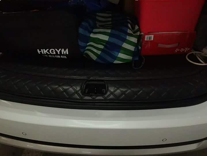 BYD Song Pro Hybrid 2022 2022款 DM-i 110km 旗舰型Pro