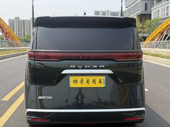 Фото 9 - Denza D9