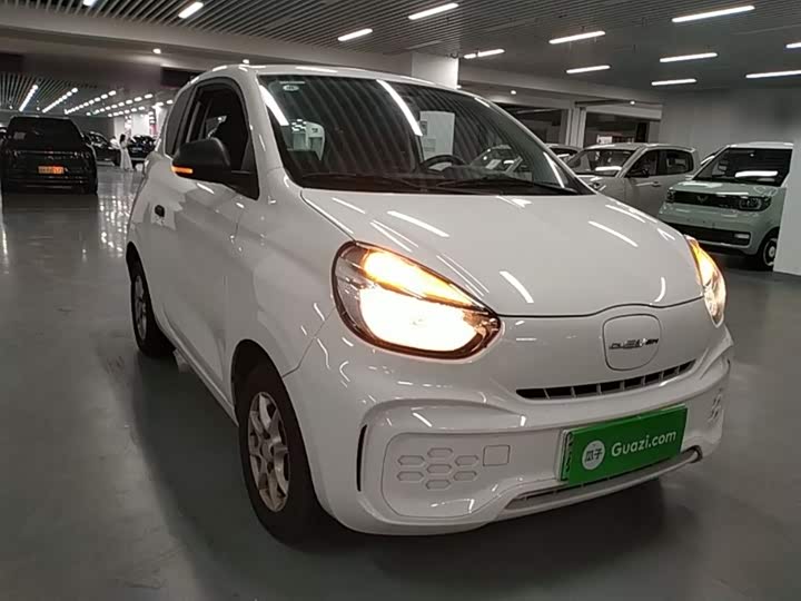 Roewe Clever 2022 2022款 311km元气啵啵版