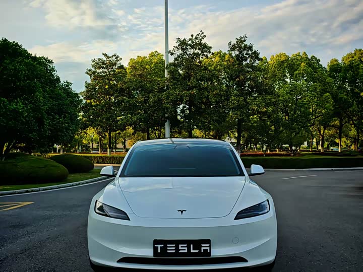 Tesla Model 3 2025 2025款 后轮驱动版