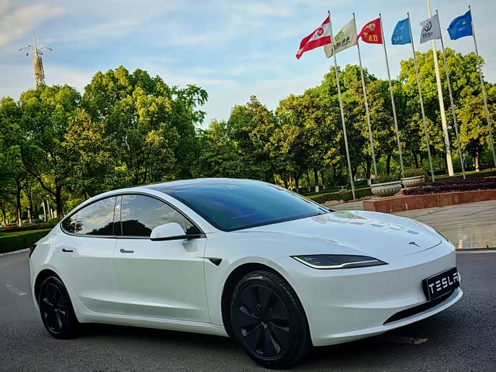 Tesla Model 3 2025 2025款 后轮驱动版