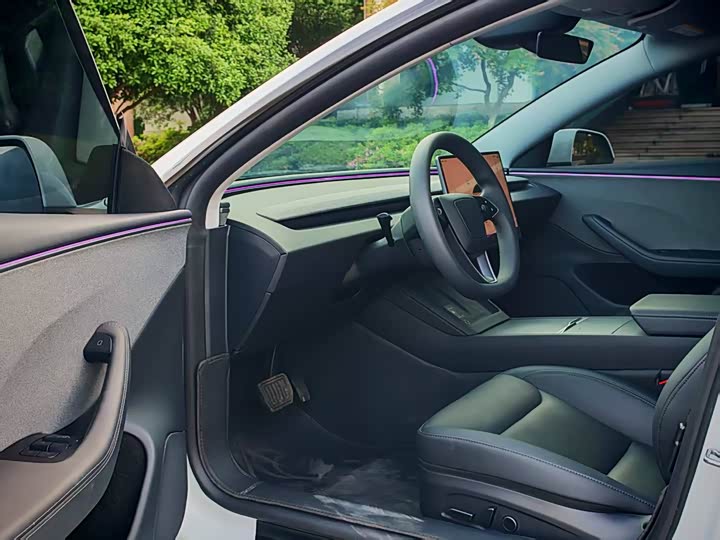 Tesla Model 3 2025 2025款 后轮驱动版