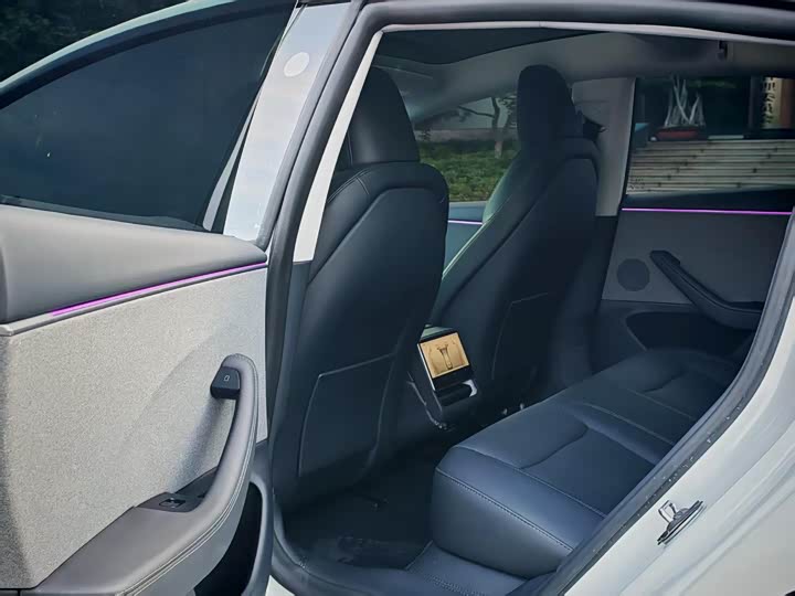 Tesla Model 3 2025 2025款 后轮驱动版