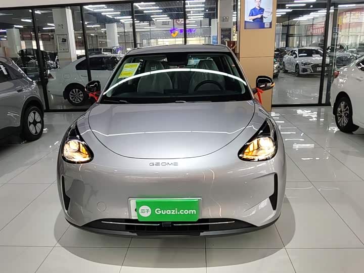 Geely Galaxy Geome 2026 2026款 310km 青春版