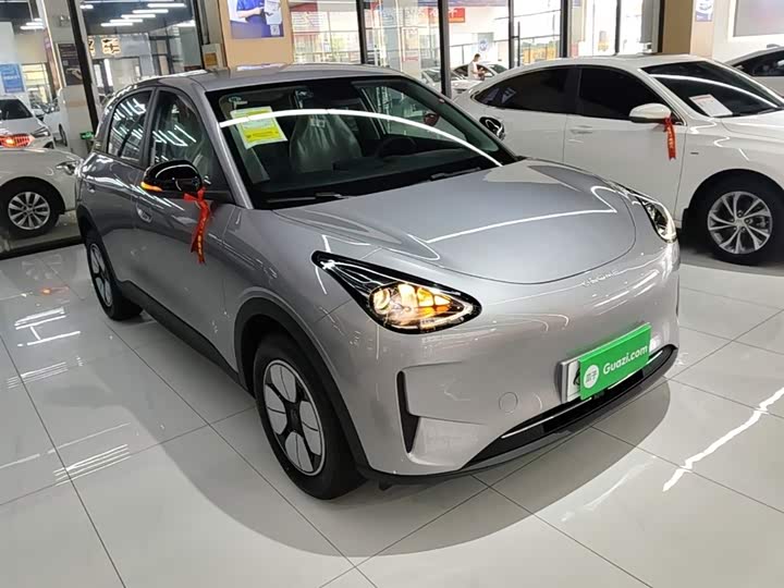 Geely Galaxy Geome 2026 2026款 310km 青春版
