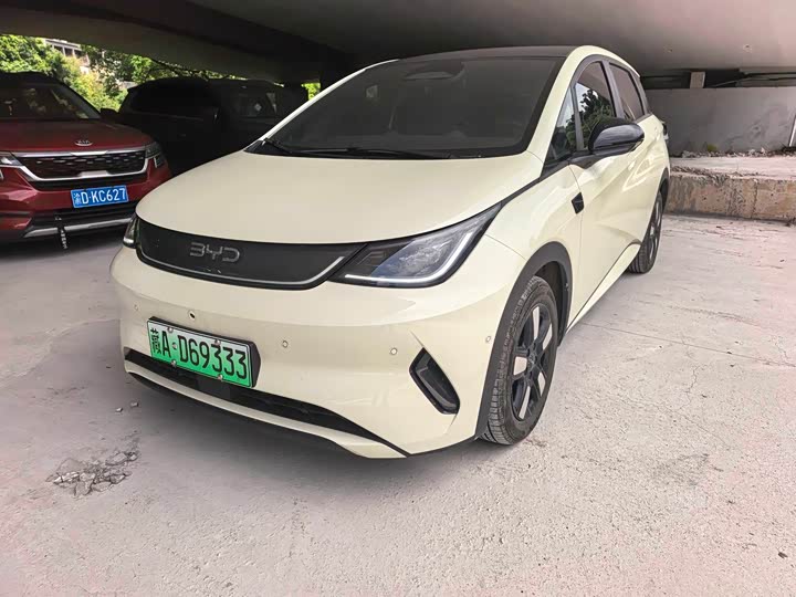 2025 BYD Dolphin