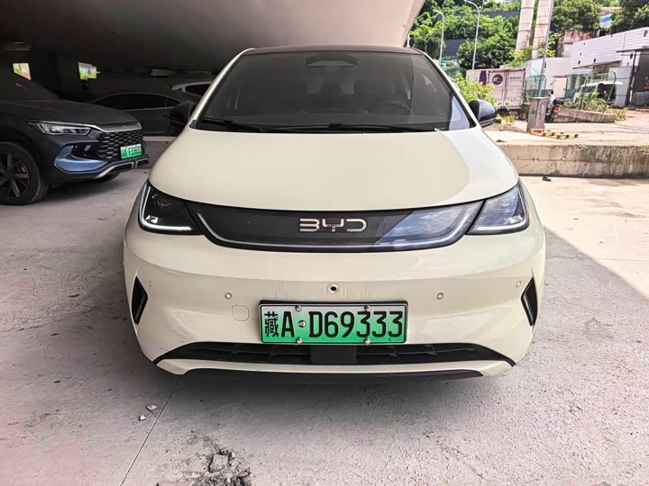 2025 BYD Dolphin